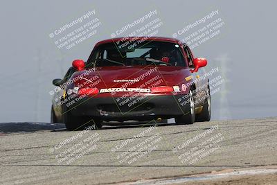 media/Jan-28-2024-Speed Ventures (Sun) [[34a1a56de7]]/Black Group/Session 2 (Grapevine)/